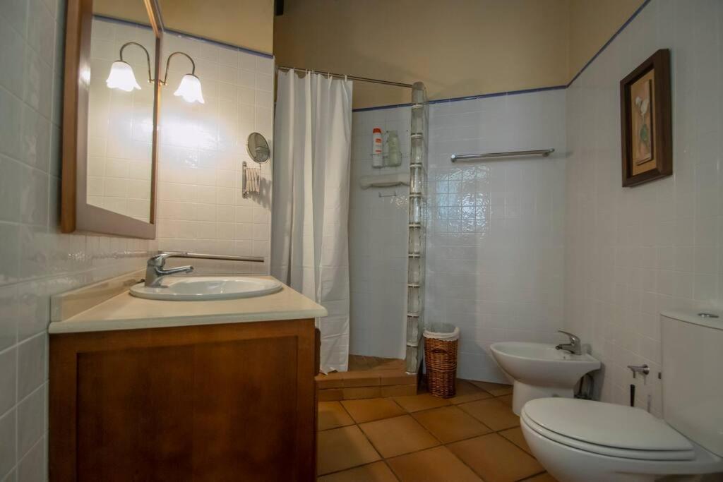 Precioso Apart. Maravillosa Localizacion **Wifi-Ac** Σεβίλλη Εξωτερικό φωτογραφία